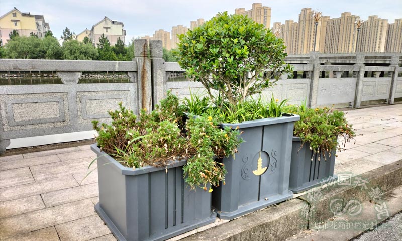 橋梁樹圍花箱案例