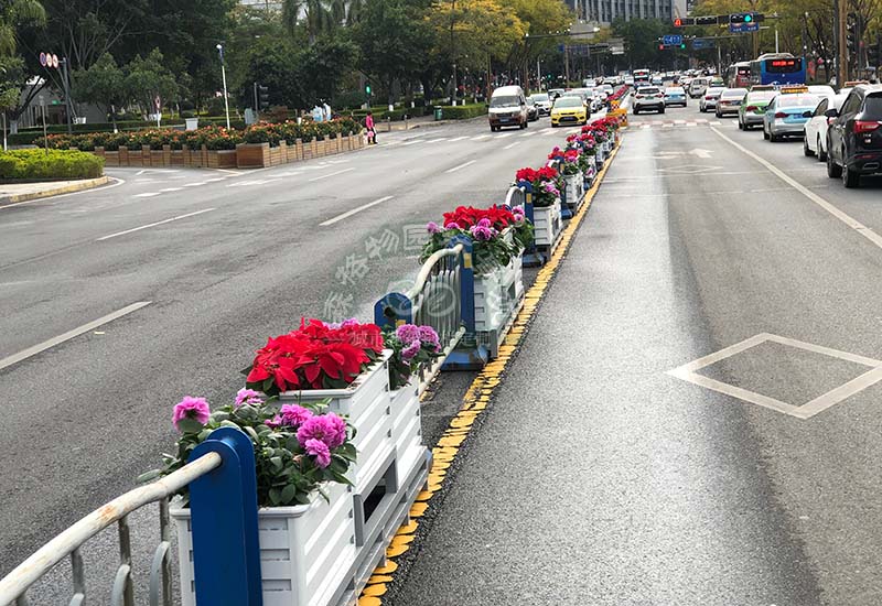 道路花箱護欄綠化在美化城市中的作用