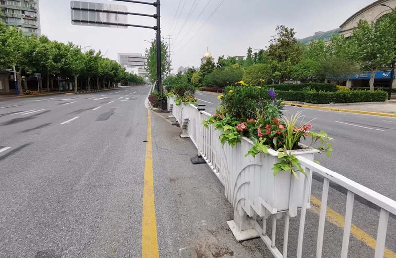 夏日繽紛！普陀區道路“換新裝” ，道路花箱功不可沒