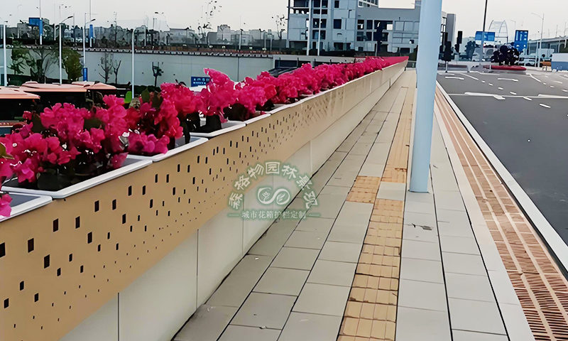 揭陽什么是高架橋橋梁花槽花箱